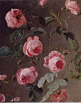 Floral, beautiful classical still life of flowers 014, unknow artist
